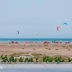 Ollystays Mangroovy Seaview 1Br Beach And Pool Free Access
